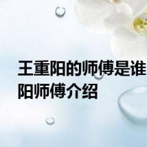 王重阳的师傅是谁 王重阳师傅介绍