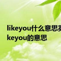 likeyou什么意思英文 likeyou的意思