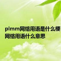 plmm网络用语是什么梗 plmm网络用语什么意思