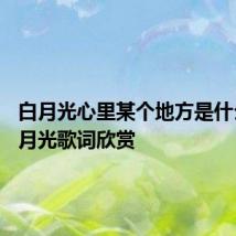 白月光心里某个地方是什么歌 白月光歌词欣赏