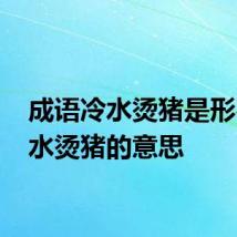 成语冷水烫猪是形容 冷水烫猪的意思