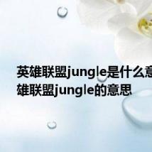 英雄联盟jungle是什么意思 英雄联盟jungle的意思