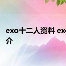 exo十二人资料 exo的简介