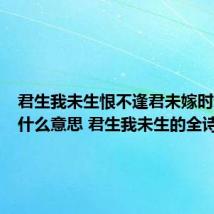 君生我未生恨不逢君未嫁时这句诗什么意思 君生我未生的全诗意思