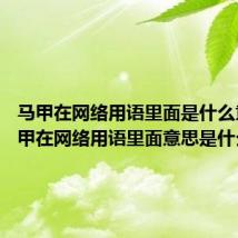 马甲在网络用语里面是什么意思 马甲在网络用语里面意思是什么