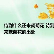 待到什么还来就菊花 待到什么还来就菊花的出处