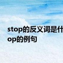 stop的反义词是什么 stop的例句