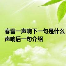 春雷一声响下一句是什么 春雷一声响后一句介绍