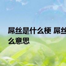 屌丝是什么梗 屌丝是什么意思