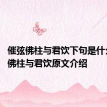 催弦佛柱与君饮下句是什么 催弦佛柱与君饮原文介绍