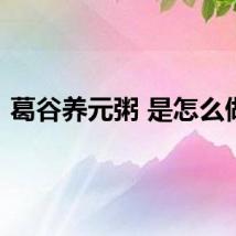 葛谷养元粥 是怎么做的