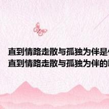 直到情路走散与孤独为伴是什么歌 直到情路走散与孤独为伴的歌名