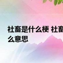 社畜是什么梗 社畜是什么意思