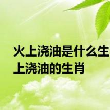 火上浇油是什么生肖 火上浇油的生肖