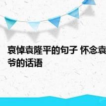 哀悼袁隆平的句子 怀念袁隆平爷爷的话语