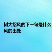 树大招风的下一句是什么 树大招风的出处