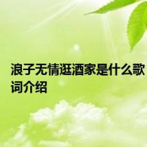 浪子无情逛酒家是什么歌 完整歌词介绍