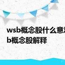 wsb概念股什么意思 wsb概念股解释