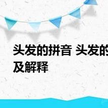 头发的拼音 头发的拼音及解释