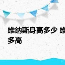 维纳斯身高多少 维纳斯多高