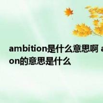 ambition是什么意思啊 ambition的意思是什么