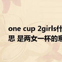 one cup 2girls什么意思 是两女一杯的意思