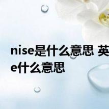 nise是什么意思 英语nise什么意思