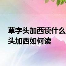 草字头加西读什么 草字头加西如何读