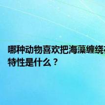 哪种动物喜欢把海藻缠绕在身上 特性是什么？