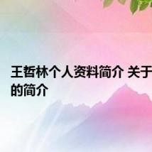 王哲林个人资料简介 关于王哲林的简介