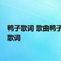 鸭子歌词 歌曲鸭子完整歌词