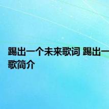 踢出一个未来歌词 踢出一个未来歌简介