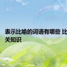 表示比喻的词语有哪些 比喻的相关知识