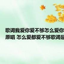 歌词我爱你爱不够怎么爱你都不够原唱 怎么爱都爱不够歌词是什么