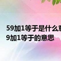 59加1等于是什么意思 59加1等于的意思