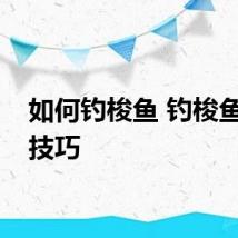 如何钓梭鱼 钓梭鱼的小技巧