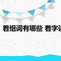 着组词有哪些 着字读音