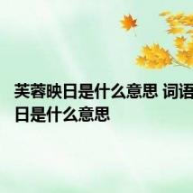 芙蓉映日是什么意思 词语芙蓉映日是什么意思