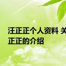 汪正正个人资料 关于汪正正的介绍