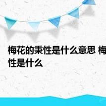 梅花的秉性是什么意思 梅花的秉性是什么