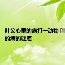 叶公心里的病打一动物 叶公心里的病的谜底