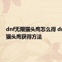 dnf无限猫头鹰怎么得 dnf无限猫头鹰获得方法