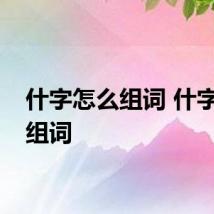 什字怎么组词 什字如何组词