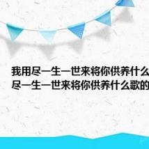 我用尽一生一世来将你供养什么歌 我用尽一生一世来将你供养什么歌的歌词