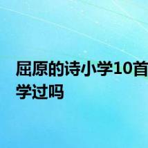 屈原的诗小学10首 你都学过吗