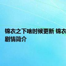 锦衣之下啥时候更新 锦衣之下的剧情简介