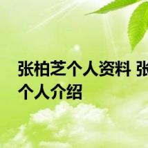 张柏芝个人资料 张柏芝个人介绍