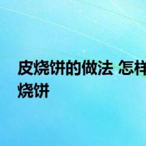 皮烧饼的做法 怎样做皮烧饼