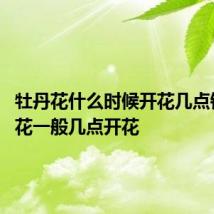 牡丹花什么时候开花几点钟 牡丹花一般几点开花