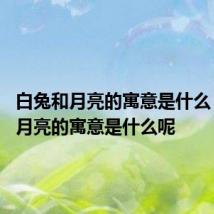 白兔和月亮的寓意是什么 白兔和月亮的寓意是什么呢